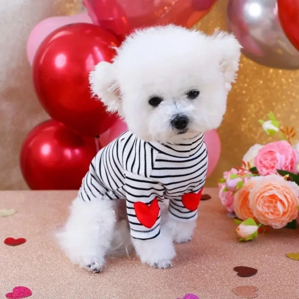 ADORABLE BLACK & WHITE STRIPE PULLOVER DOG SWEATER WITH RED HEART ACCENTS - Picture 7 of 10